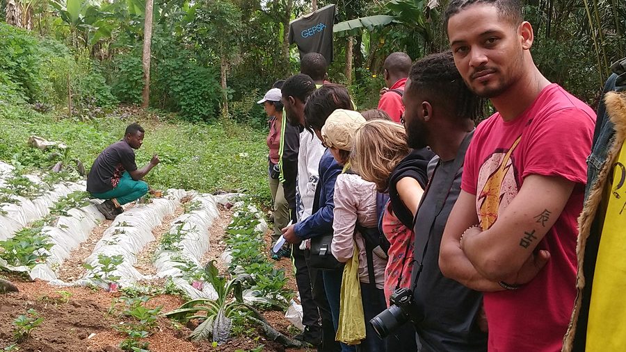 Agriculteur présentant ses cultures à un groupe — développement territorial